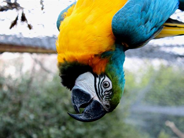 Willowbank Wildlife Reserve
Distinction Christchurch Hotel