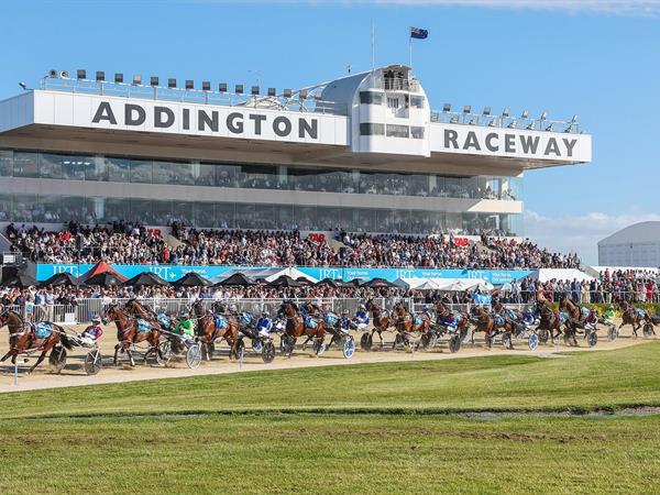 Addington Cup Week
Distinction Christchurch Hotel