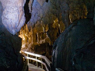 Bay of Islands - Plus Caves Tour
NZ Shore Excursions