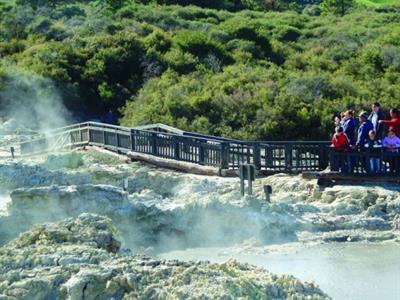 Rotorua - Te Puia & Hells Gate
NZ Shore Excursions