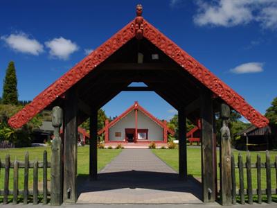 A Day in the Bay- Tauranga
NZ Shore Excursions