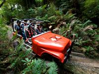 The Adrenaline Overdose Package
Off Road NZ