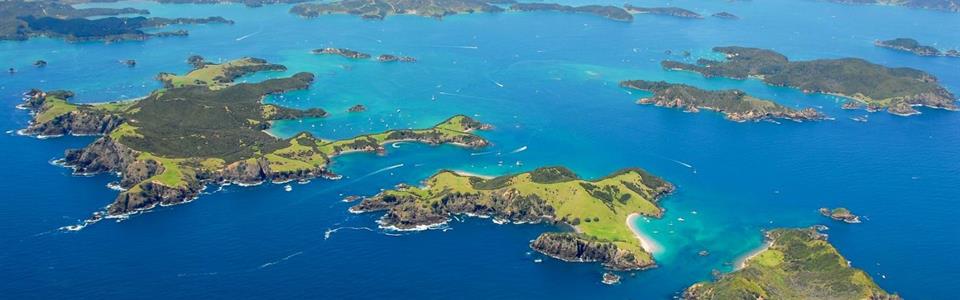 Experiences Paihia Top 10 Urupukapuka Island Archaeological Walk