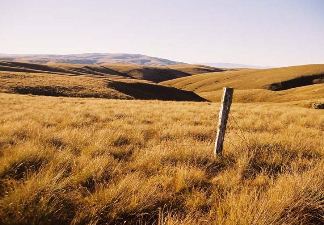 
Central Otago, A world of difference