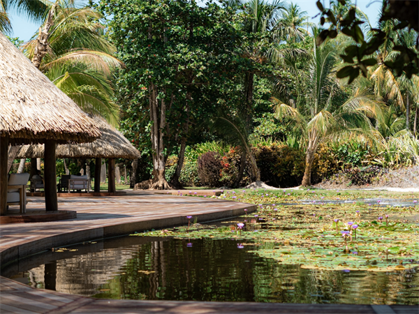 Réservation anticipée -15% avec petit déjeuner inclus
Le Taha'a by Pearl Resorts