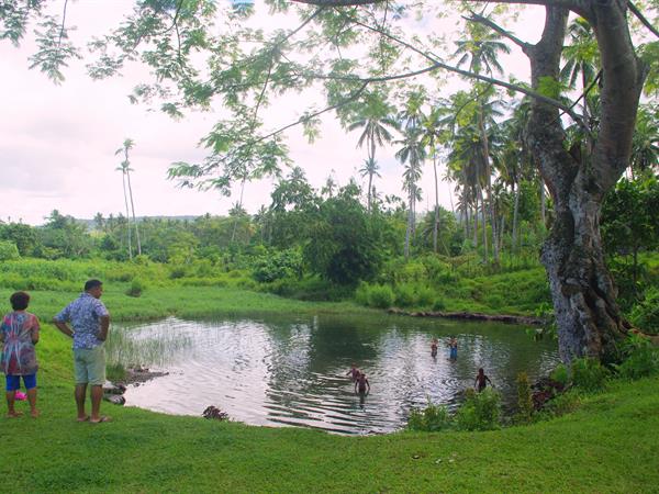 Mountain to Mangrove
Samoa Highland Adventures