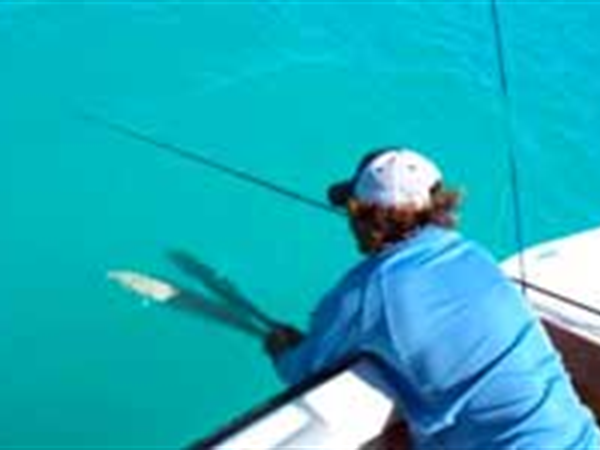 Half Day Tour
Bonefish E2's Way