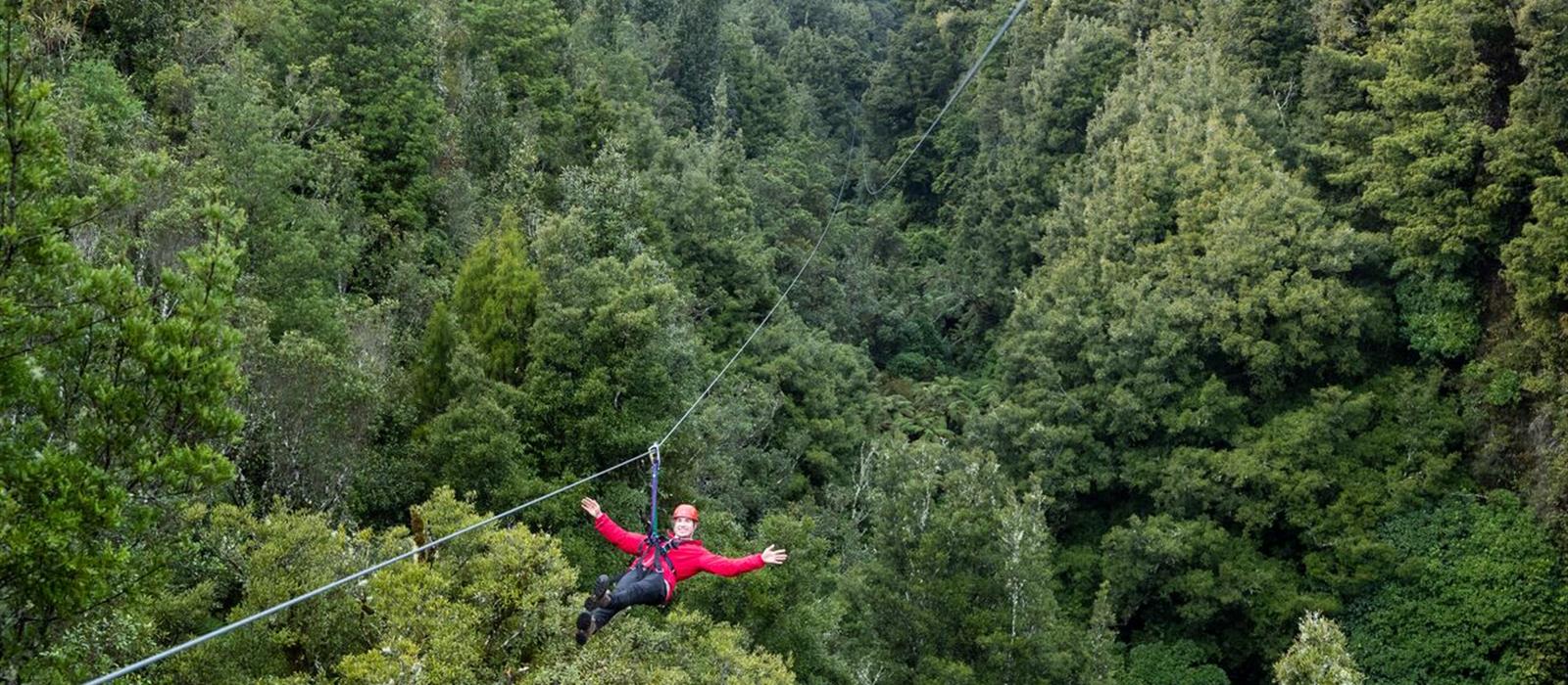 Image result for rotorua canopy tours