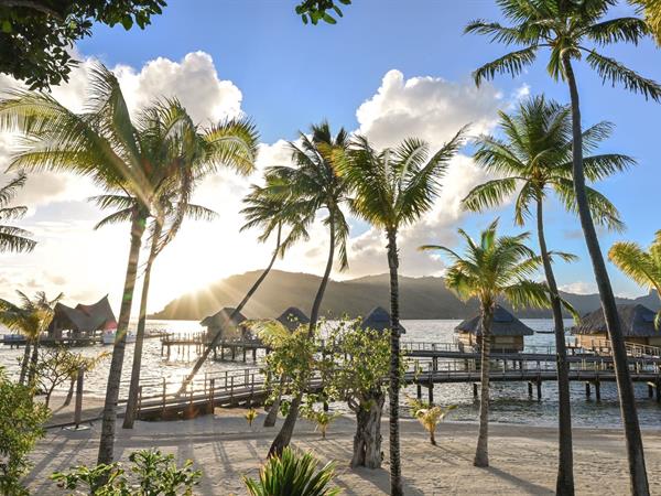 RENCONTREZ LAURENT, NOTRE NOUVEAU DIRECTEUR GÉNÉRAL ADJOINT
Le Bora Bora by Pearl Resorts