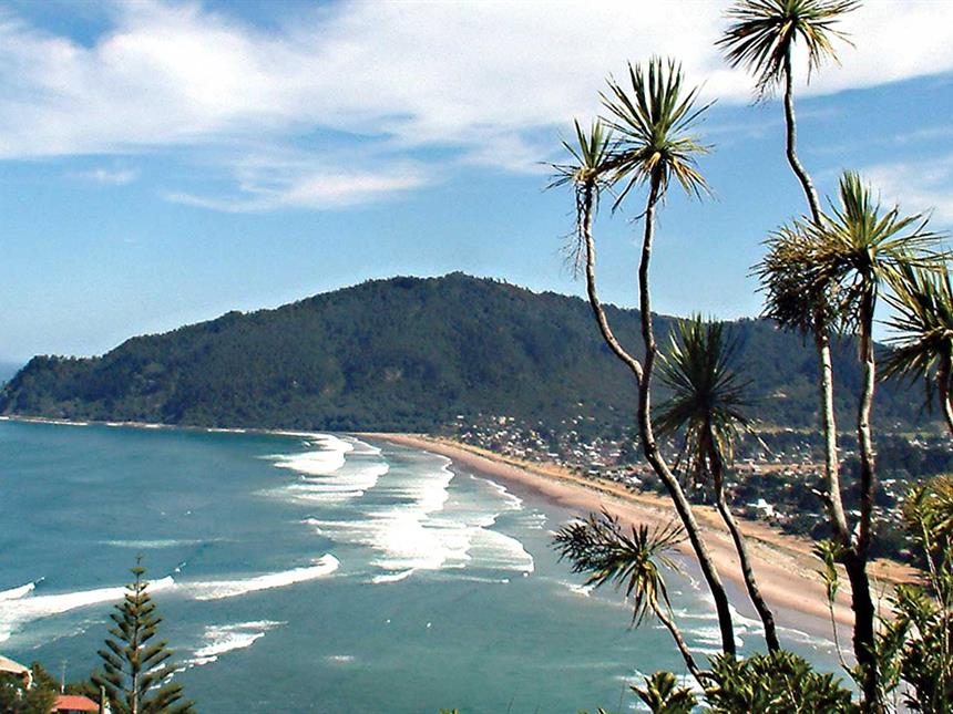 Coromandel Forest Explorer Coromandel Adventures Coromandel Town