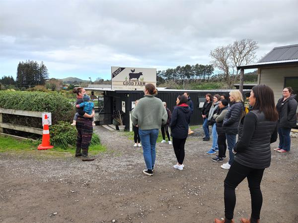 As New Zealand…as it gets
Kiwifruit Country Tours