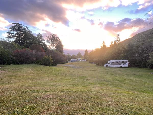Tent Sites – Unpowered, Pet-Friendly
Wellington's Kiwi Holiday Park