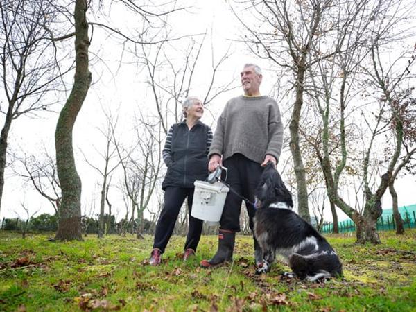 Truffle Treasure
Kiwifruit Country Tours