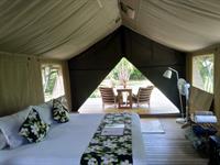 Luxury Safari Tent
Ikurangi Eco Retreat