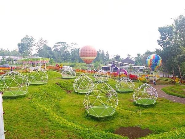 Alamanda Jogja Flower Garden
Zest Yogyakarta