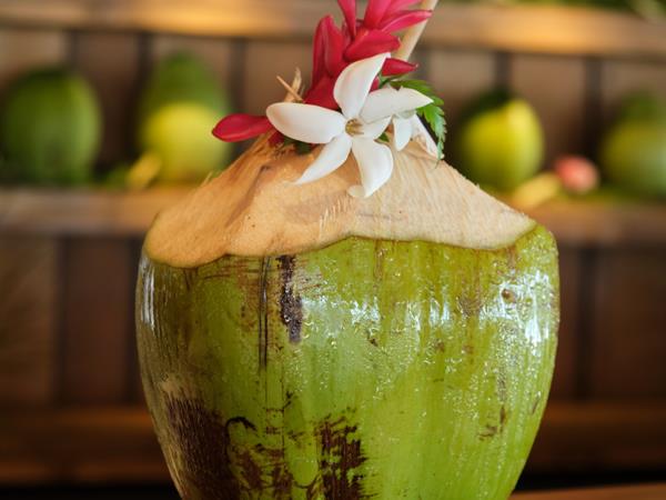 LE COCO BAR, L'ESPACE TROPICAL
Le Taha'a by Pearl Resorts