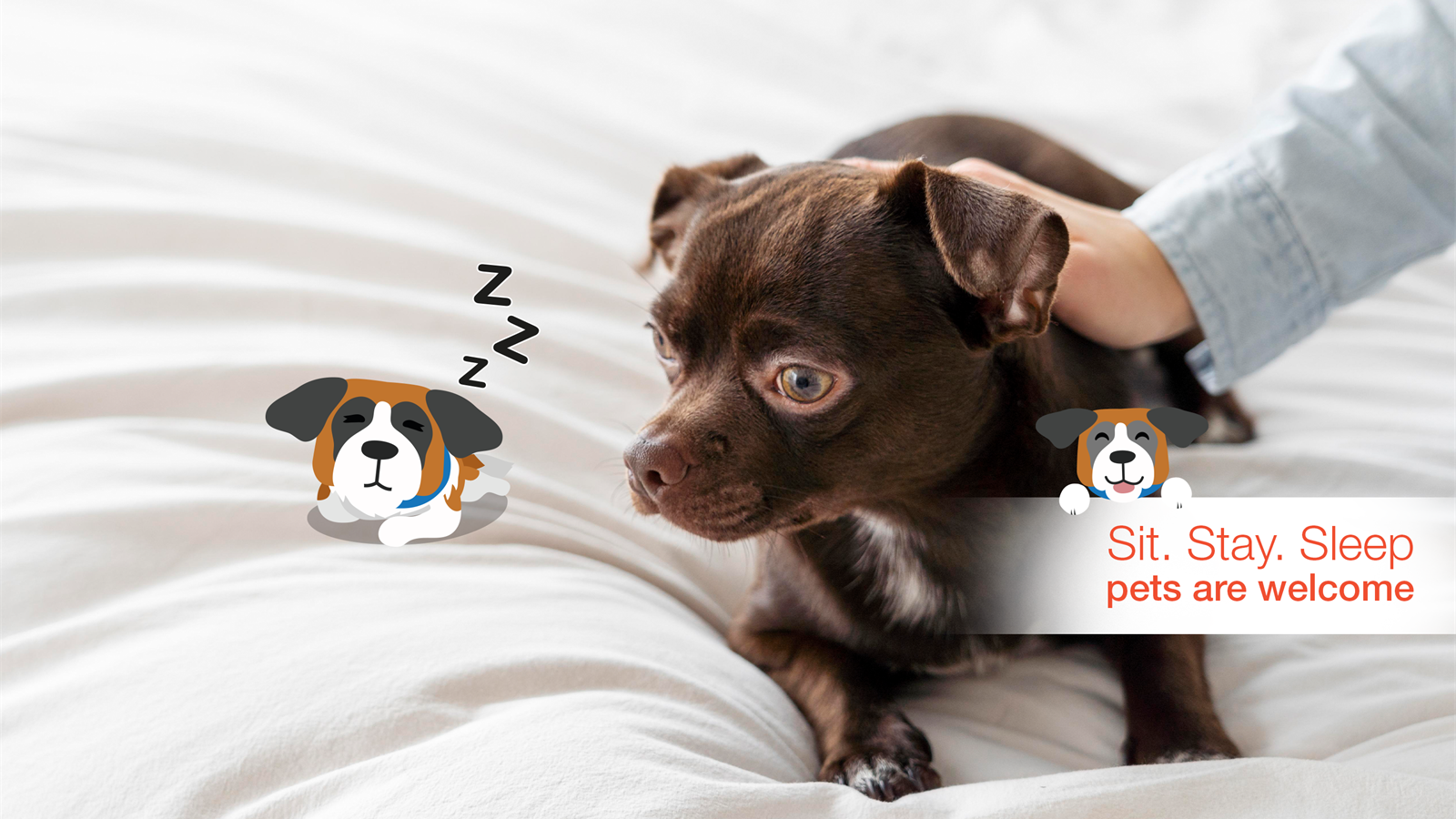 Pet-Friendly Rooms
Swiss-Belresort and Villas Coronet Peak, Queenstown, New Zealand