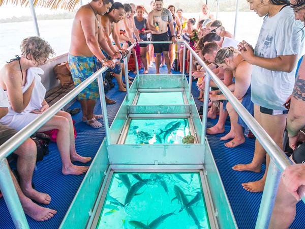 
Captain Tama's Lagoon Cruise