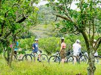 Explore - Bicycle Tour
Storytellers Eco Cycle Tours