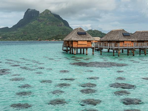 Assistant Chef de réception H/F
Le Bora Bora by Pearl Resorts