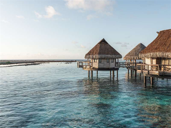 Early Bird -20% with breakfast included
Le Tikehau by Pearl Resorts