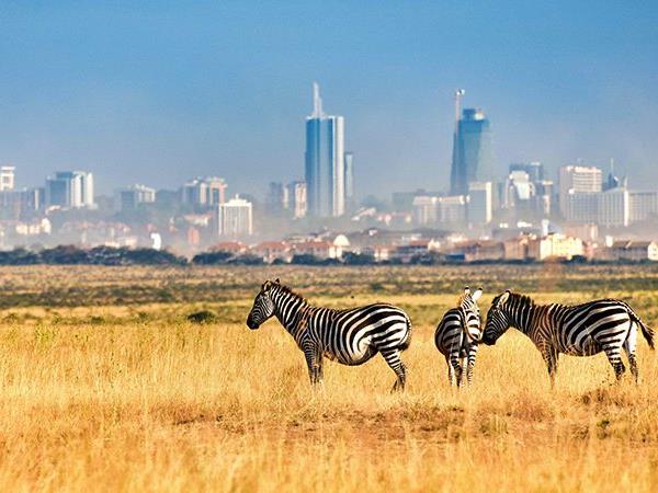 Nairobi National Park
Swiss-Belinn Nairobi