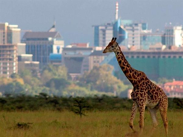 Nairobi National Park
Nairobi Safari Club by Swiss-Belhotel