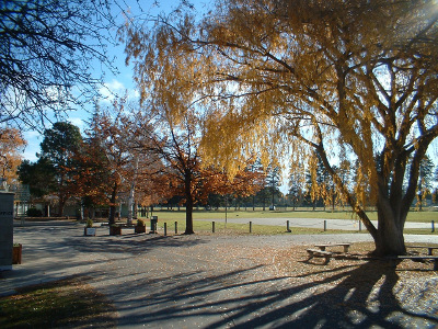 
The Terrace Primary School (Alexandra)