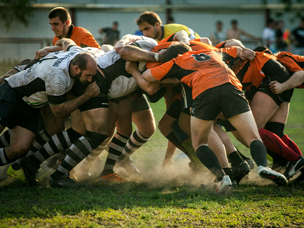 Bledisloe Cup 2024 in Sydney
悉尼约克瑞雅大酒店