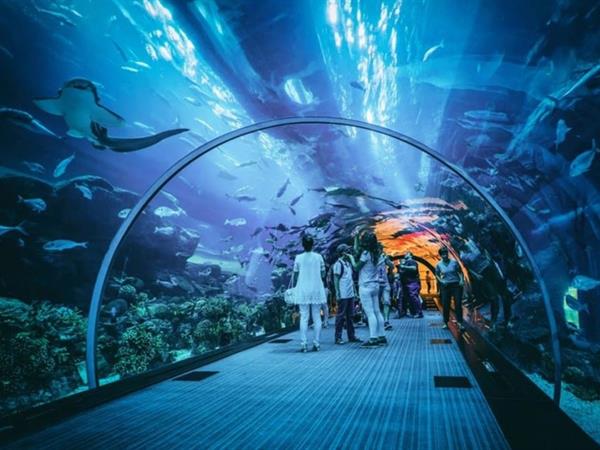 Jakarta Aquarium
Hotel Ciputra Jakarta managed by Swiss-Belhotel International