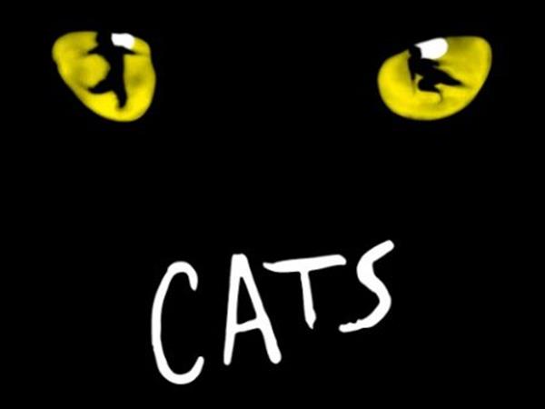 CATS Returns to Theatre Royal Sydney “LET THE MEMORY LIVE AGAIN”
The York Sydney by Swiss-Belhotel, Sydney CBD