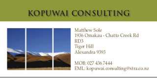 
Kopuwai Consulting