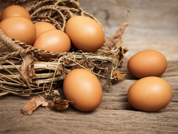 Swiss-Belinn Nairobi Commits to 100% Cage-Free Eggs
Swiss-Belinn Nairobi