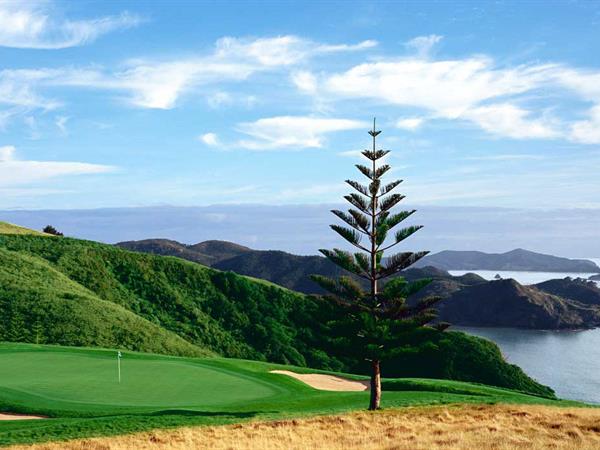 Per Person One Name - ACI
Test Supplier's DPS