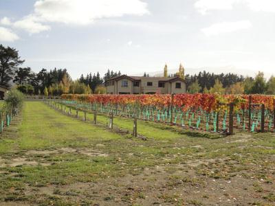 Perseverance Estate Wines