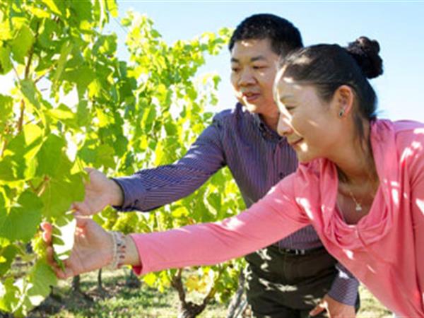 Towards Better Tourism Outcomes for Central Otago 2014-2019