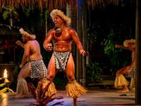 Combo Extravaganza
Te Vara Nui
