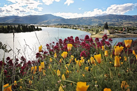 Link Exchange Central Otago A World Of Difference - 