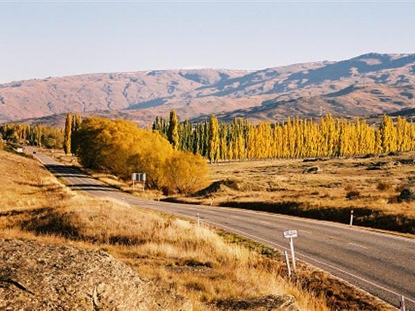 Golden Autumn in Central Otago