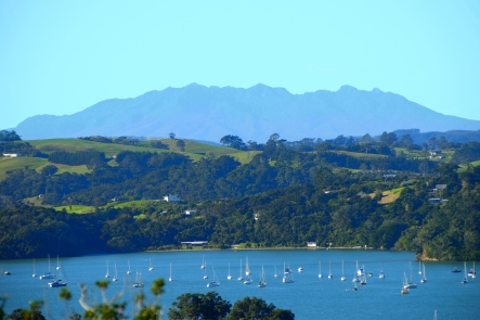 Matakana Escape Tour
NZ Shore Excursions
