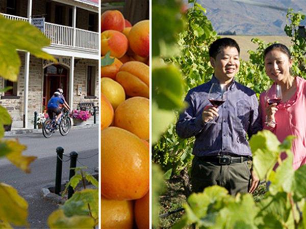 Towards Better Tourism Outcomes for Central Otago