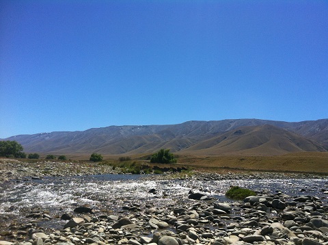 
Central Otago Environmental Society