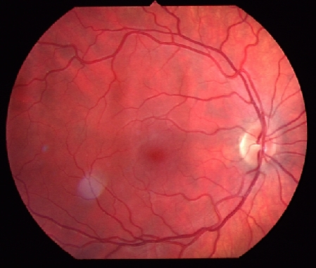 
Central Otago Optical - Cromwell