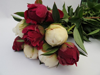 
Altitude Peonies Partnership