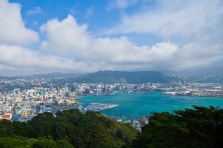 Wellington - City sight and Coastal Tour
NZ Shore Excursions