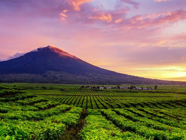 Mount Kerinci Swiss Belhotel Jambi