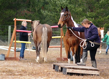 
Dunstan Adult Riding Club