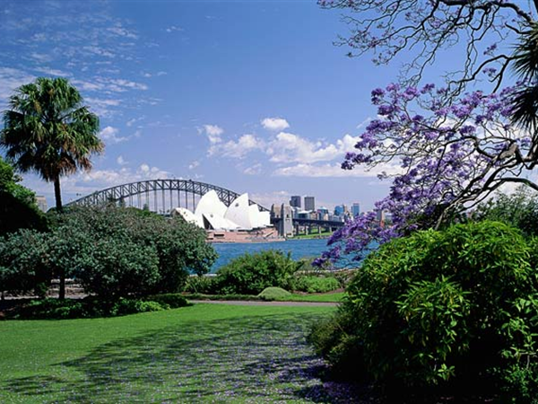 Taman Botani
The York Sydney by Swiss-Belhotel