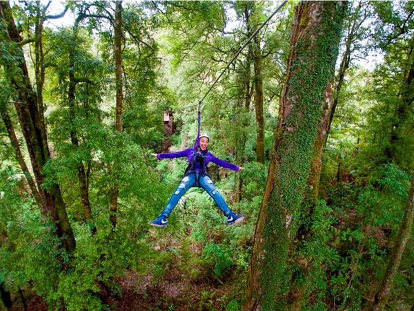 Canopy Tours Package
Distinction Rotorua Hotel & Conference Centre