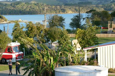 Powered Sites
Matakohe Holiday Park
